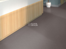 Tarkett iq Melodia 2617 фото 2 | FLOORDEALER